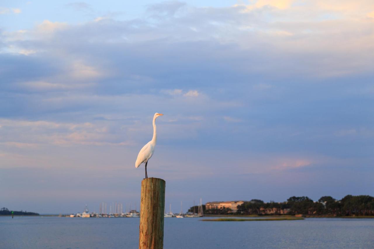 Sea Side Villas Hilton Head Island Kültér fotó